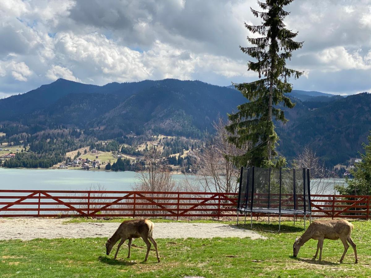 Pensiunea Farmecul Naturii Si Casute Individuale De Inchiriat Colibiţa Exterior foto